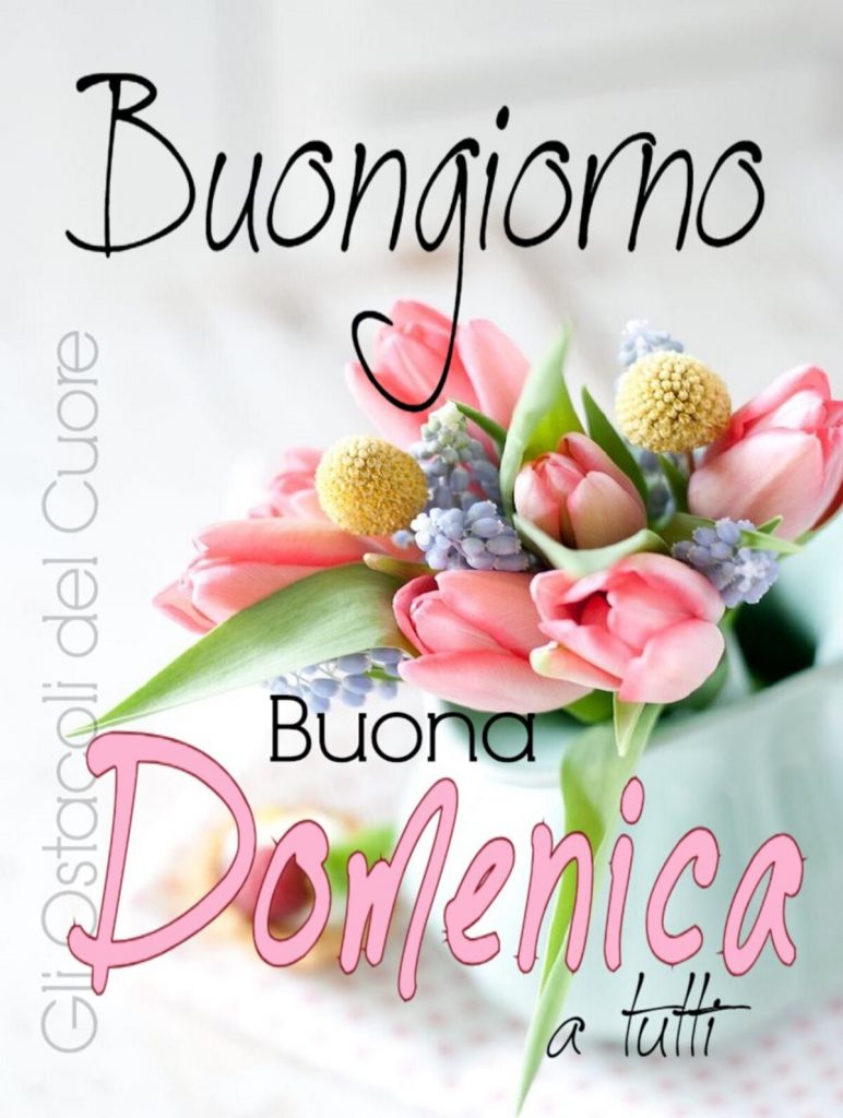 Buongiorno Buona Domenica a tutti