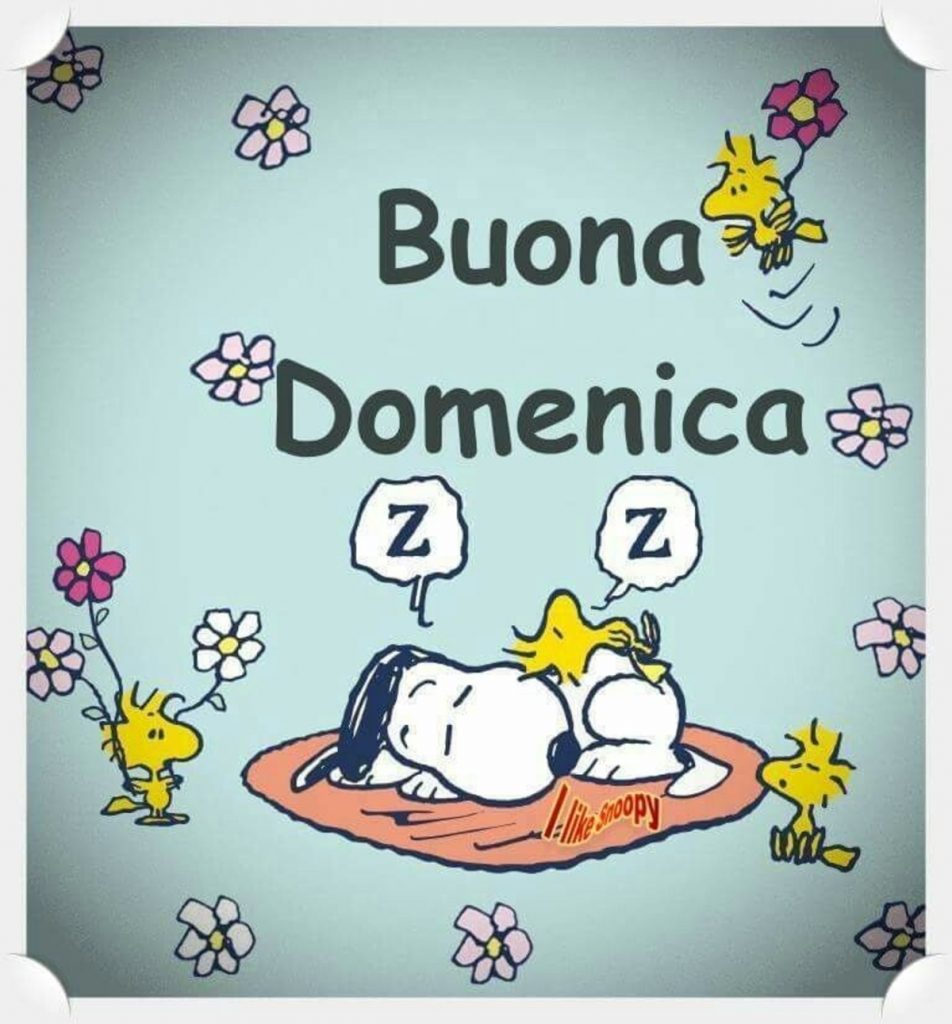 Buona Domenica