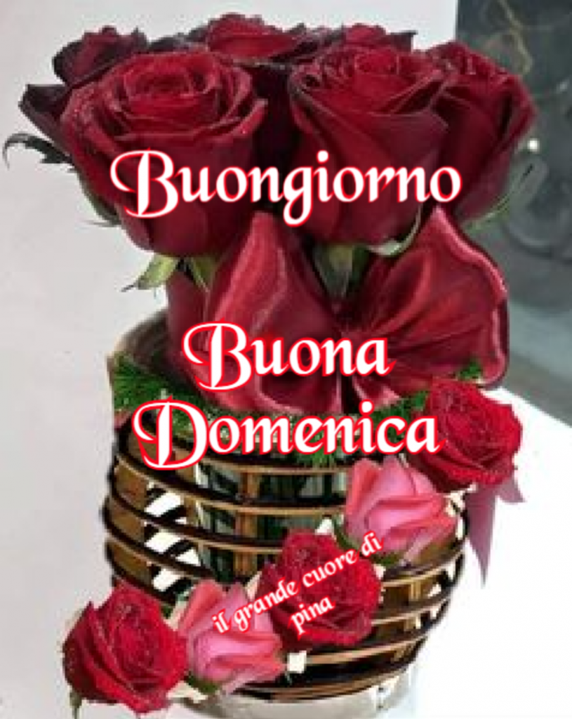 Buongiorno Buona Domenica (il grande cuore di Pina)