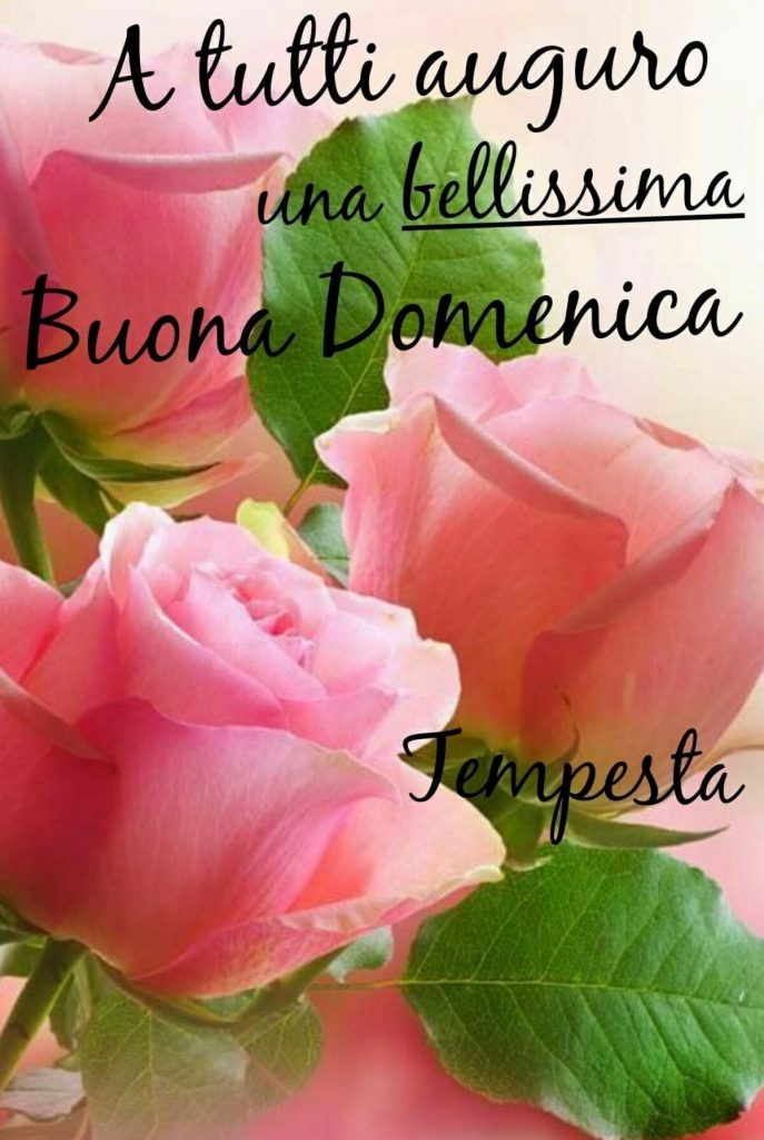 A tutti auguro una bellissima buona domenica