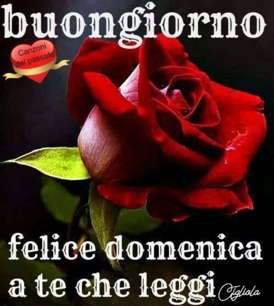 Buongiorno Felice Domenica a te che leggi