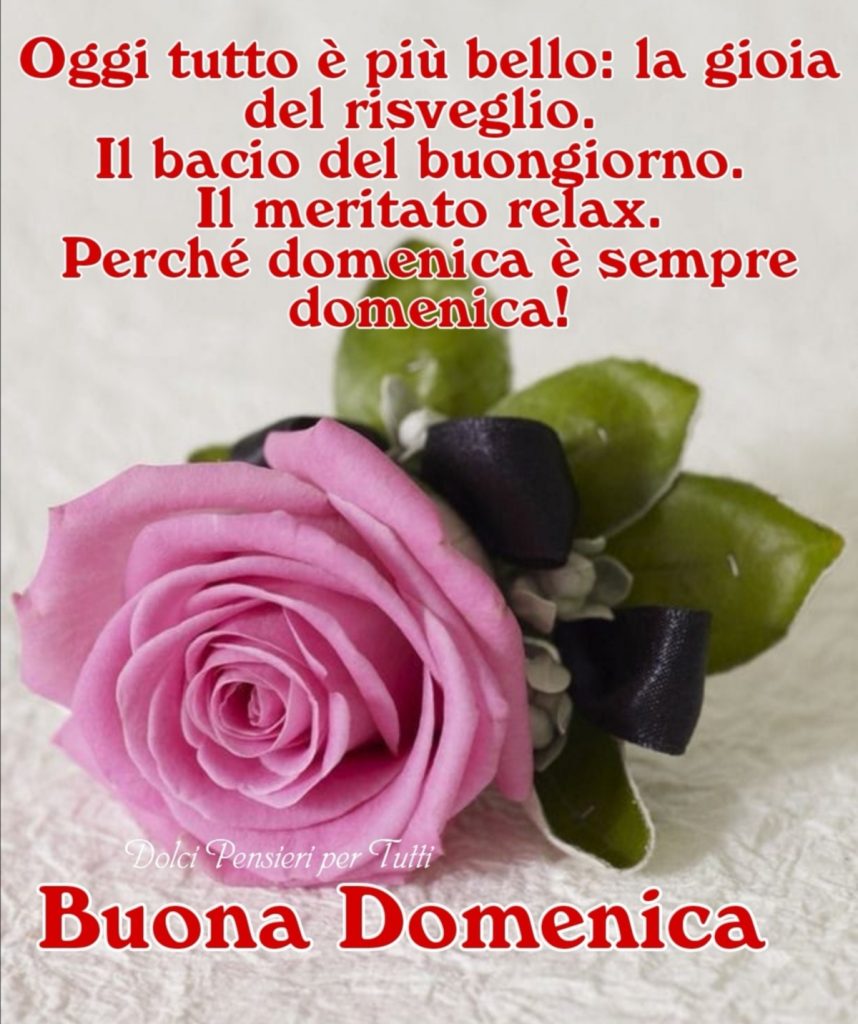 Oggi tutto è più bello: la gioia del risveglio. Il bacio del buongiorno. Il meritato relax. Perché domenica è sempre domenica! Buona domenica