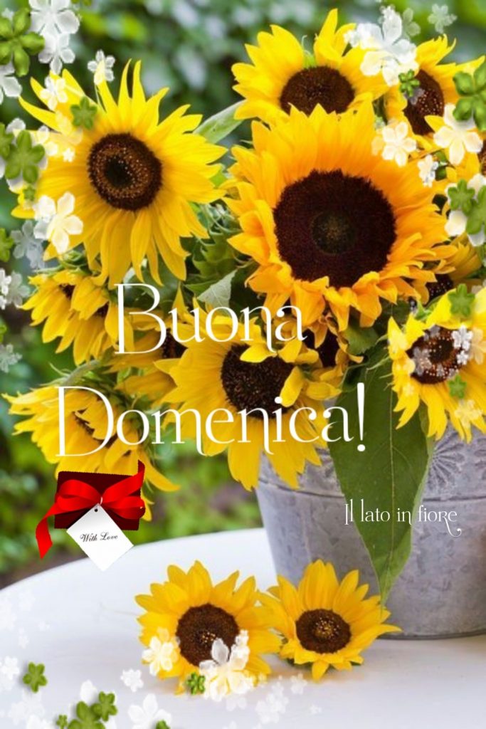 Buona Domenica!