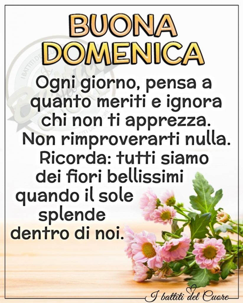 Buona Domenica ogni giorno pensa a quanto meriti e ignora chi non ti apprezza. Non rimproverarti di nulla. Ricorda: Tutti siamo dei fiori bellissimi quando il sole splende dentro di noi