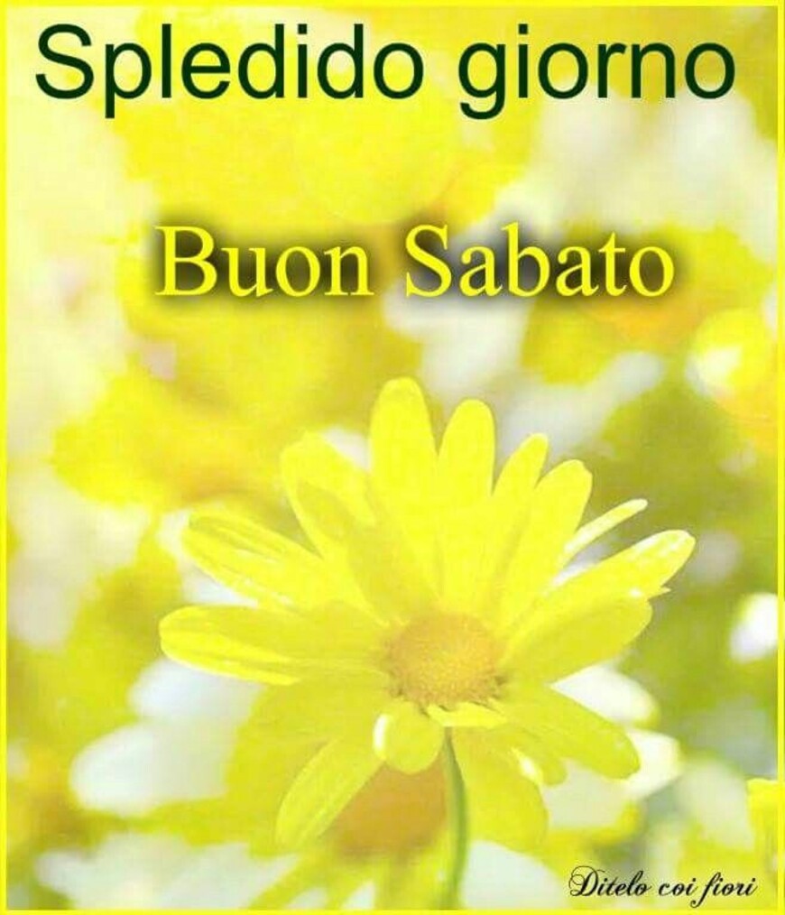 Splendido giorno Buon Sabato