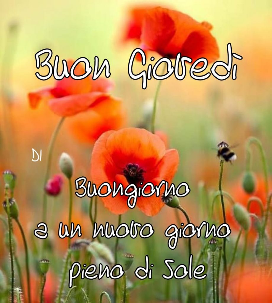 Buon Giovedì Buongiorno a un nuovo giorno pieno di sole