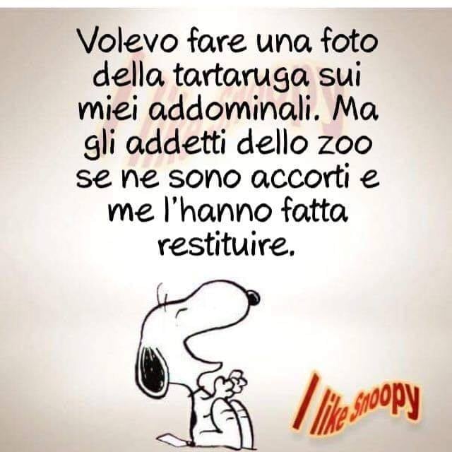Volevo fare una foto della tartaruga sui miei addominali. Ma gli addetti dello zoo se ne sono accorti e me l'hanno fatta restituire