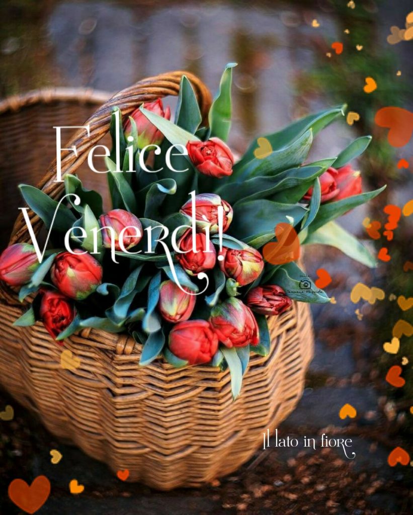 Felice Venerdì! (Il lato in fiore)