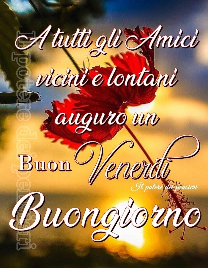 A tutti gli amici vicini e lontani auguro un buon venerdì buongiorno