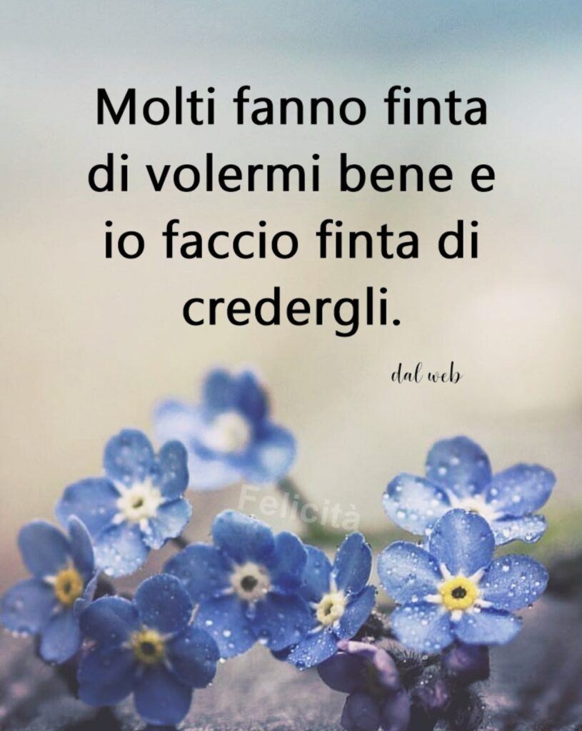 Molti fanno finta di volermi bene e io faccio finta di credergli. (dal web)