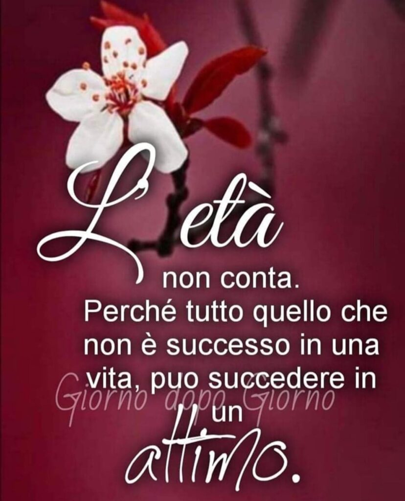 'L'età non conta. Perché tutto quello che non è successo in una vita, può succedere in un attimo.' (Giorno dopo giorno)