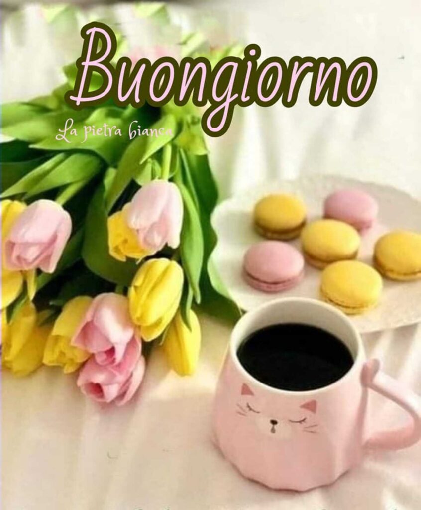 Buongiorno 😀